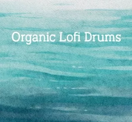 New Loops Organic Lofi Drums WAV
