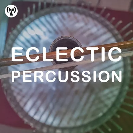 Noiiz Eclectic Percussion WAV