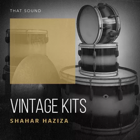 That Sound Vintage Kits WAV