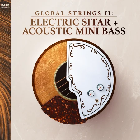 RARE Percussion Global Strings Vol.2: Electric Sitar & Mini Bass WAV