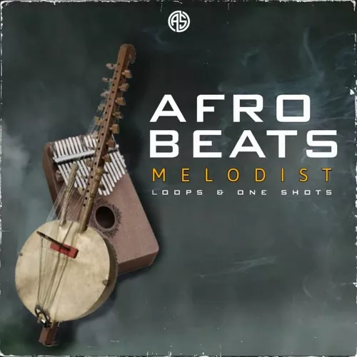 Aotbb Afrobeats Melodist Loops & One Shots [WAV MIDI]