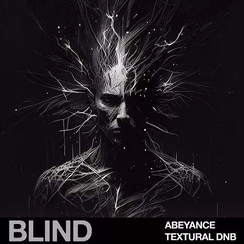 Blind Audio Abeyance Textural DnB WAV