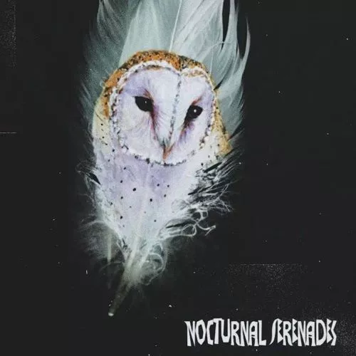 NightOWL Nocturnal Serenades (Compositions & Stems) [WAV]