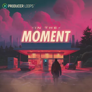 Producer Loops In The Moment [WAV MIDI]