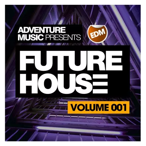 Beatrising Future House & EDM Vol.1 WAV