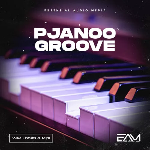 Essential Audio Media Pjanoo Groove [WAV MIDI]