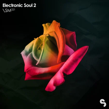 SM221 Electronic Soul 2 WAV