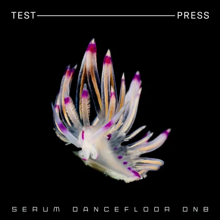Test Press Serum Dancefloor DnB 
