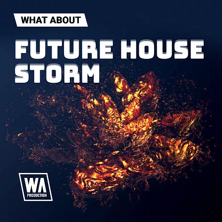 What About: Future House Storm WAV