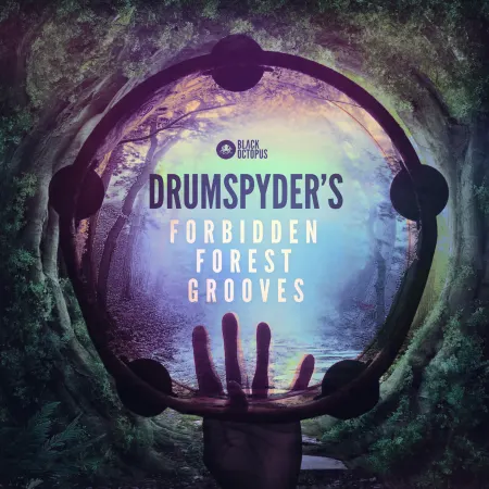 Drumspyder's Forbidden Forest Grooves WAV