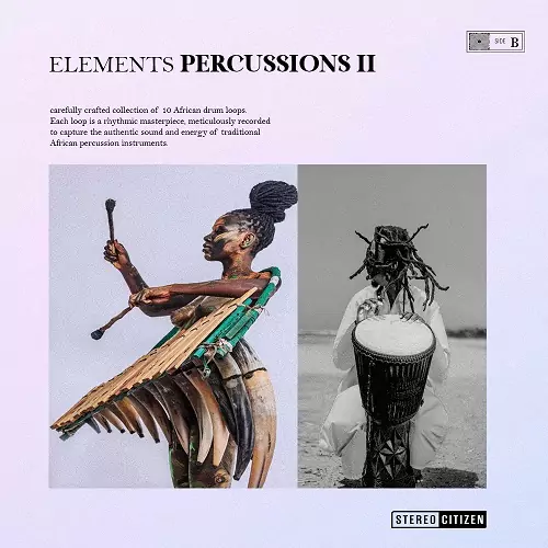 chase iyan Elements Percussion II WAV