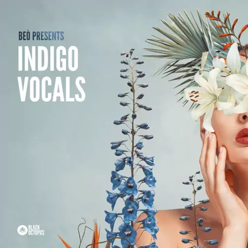 Indigo Vocals by Beò WAV