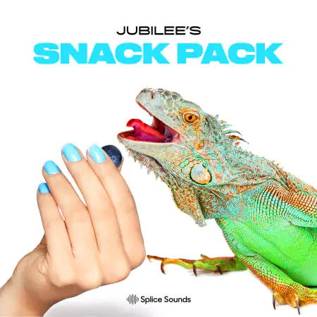 Jubilee's Snack Pack WAV