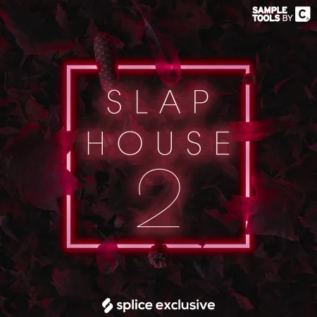 Cr2 Slap House 2 WAV