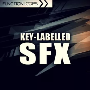 Function Loops Key Labelled SFX