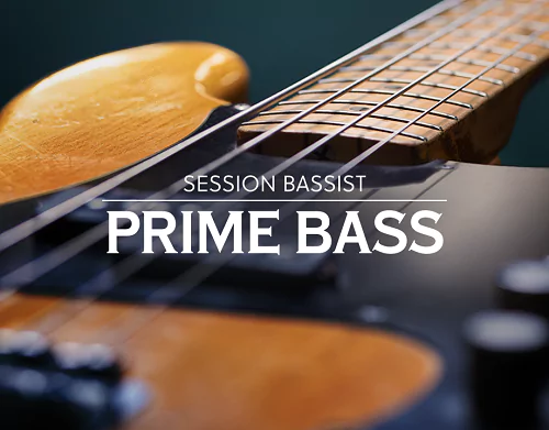 NI Session Bassist Prime Bass 