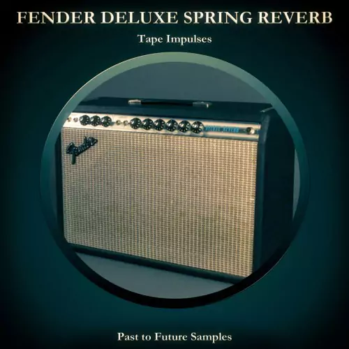 PastToFutureReverbs Fender Deluxe Spring Reverb! WAV