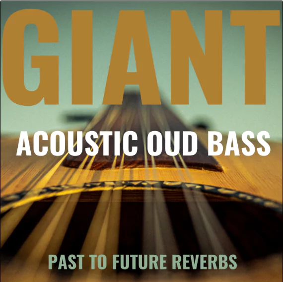 PastToFutureReverbs Giant Acoustic Round-Back Fretless Bass [KONTAKT WAV]