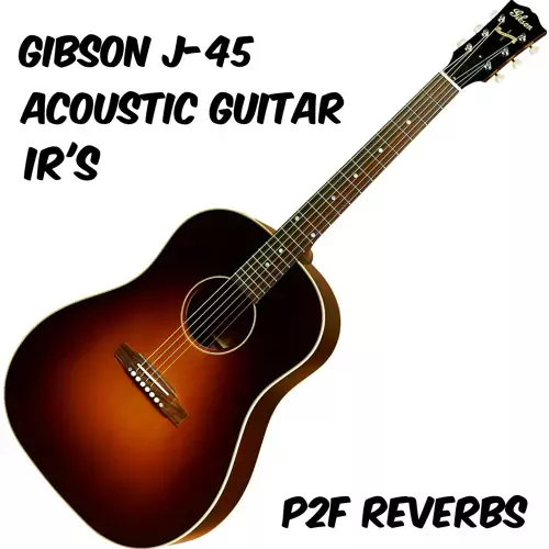 PastToFutureReverbs Gibson J-45 Acoustic Guitar! WAV