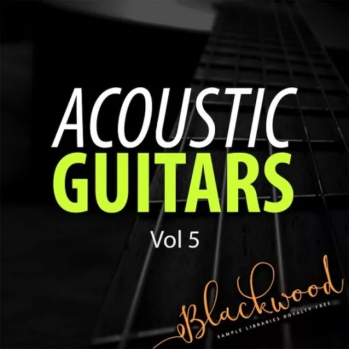 Blackwood Samples Acoustic Guitars 5