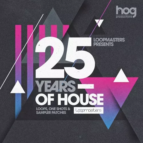 Loopmasters Gianni Bini Presents 25 Years Of House