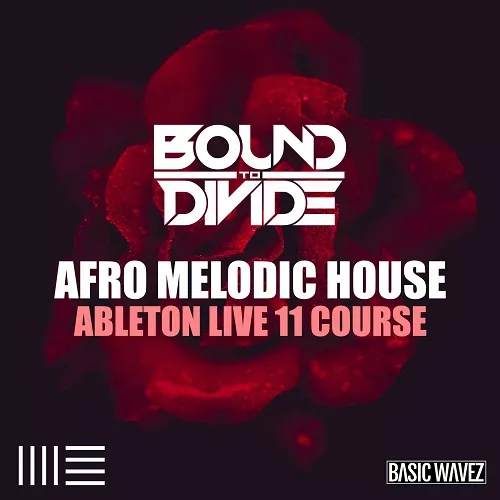 Basic Wavez Ableton Live 11 Course: Afro Melodic House Start To Finish With Bound to Divide TUTORIAL