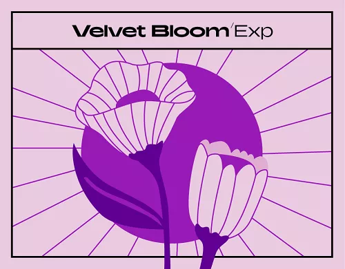 NI Expansion: VELVET BLOOM