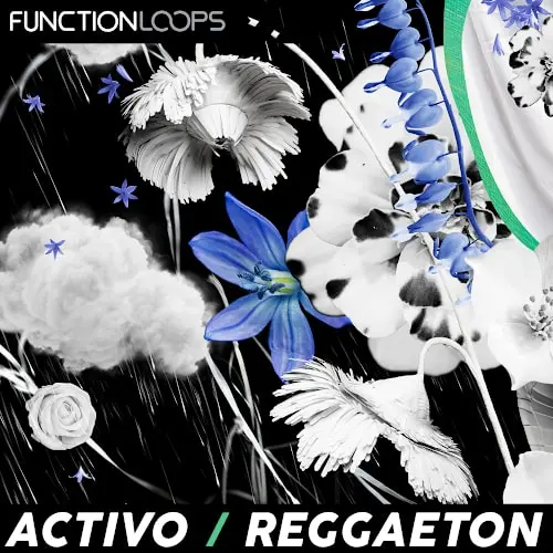 Function Loops ACTIVO - Reggaeton WAV