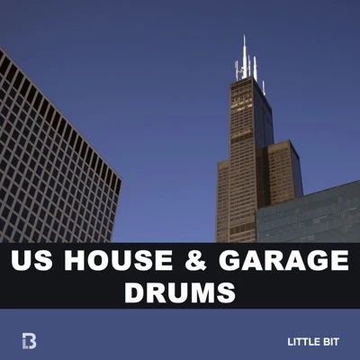 Little Bit US House & Garage Drums WAV