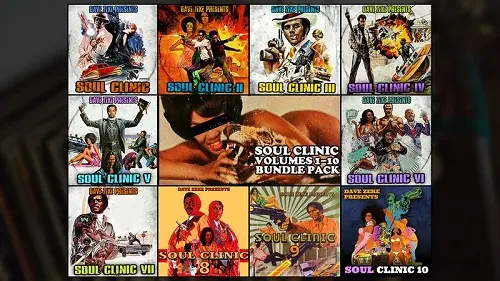 Dave Zeke Soul Clinic Volumes 1-10 BUNDLE (300 Prechopped Samples) WAV