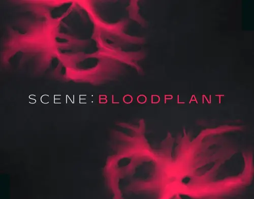 Native Instruments Scene: Bloodplant v1.0.0 KONTAKT