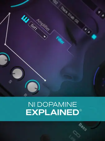 Groove3 NI Dopamine Explained TUTORIAL