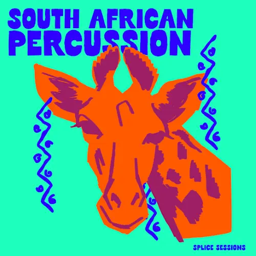 Splice Sessions South African Percussion WAV